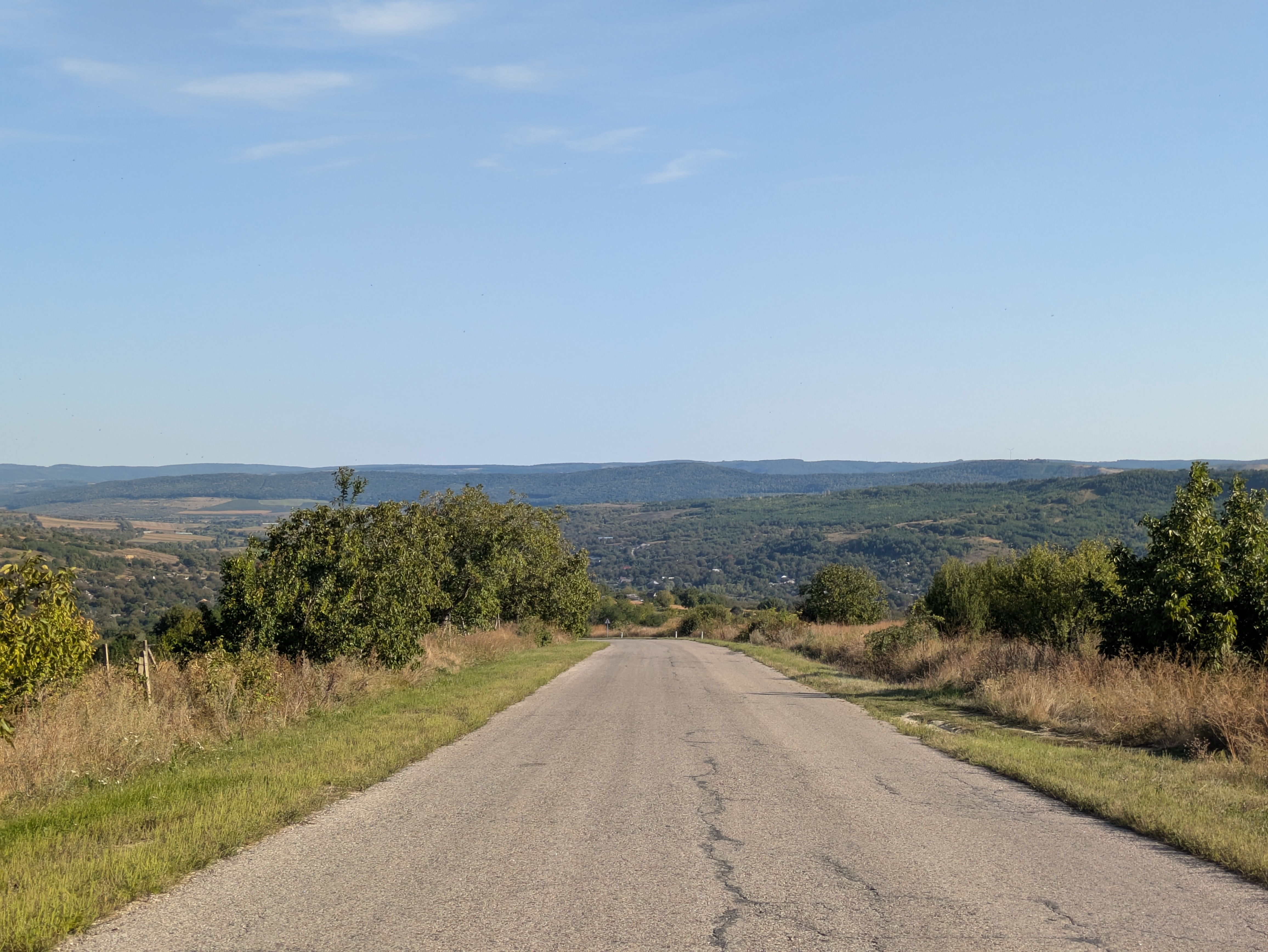 MD, District Calarasi, Satul Horodiste, Drumul R44 spre Pirjolteni