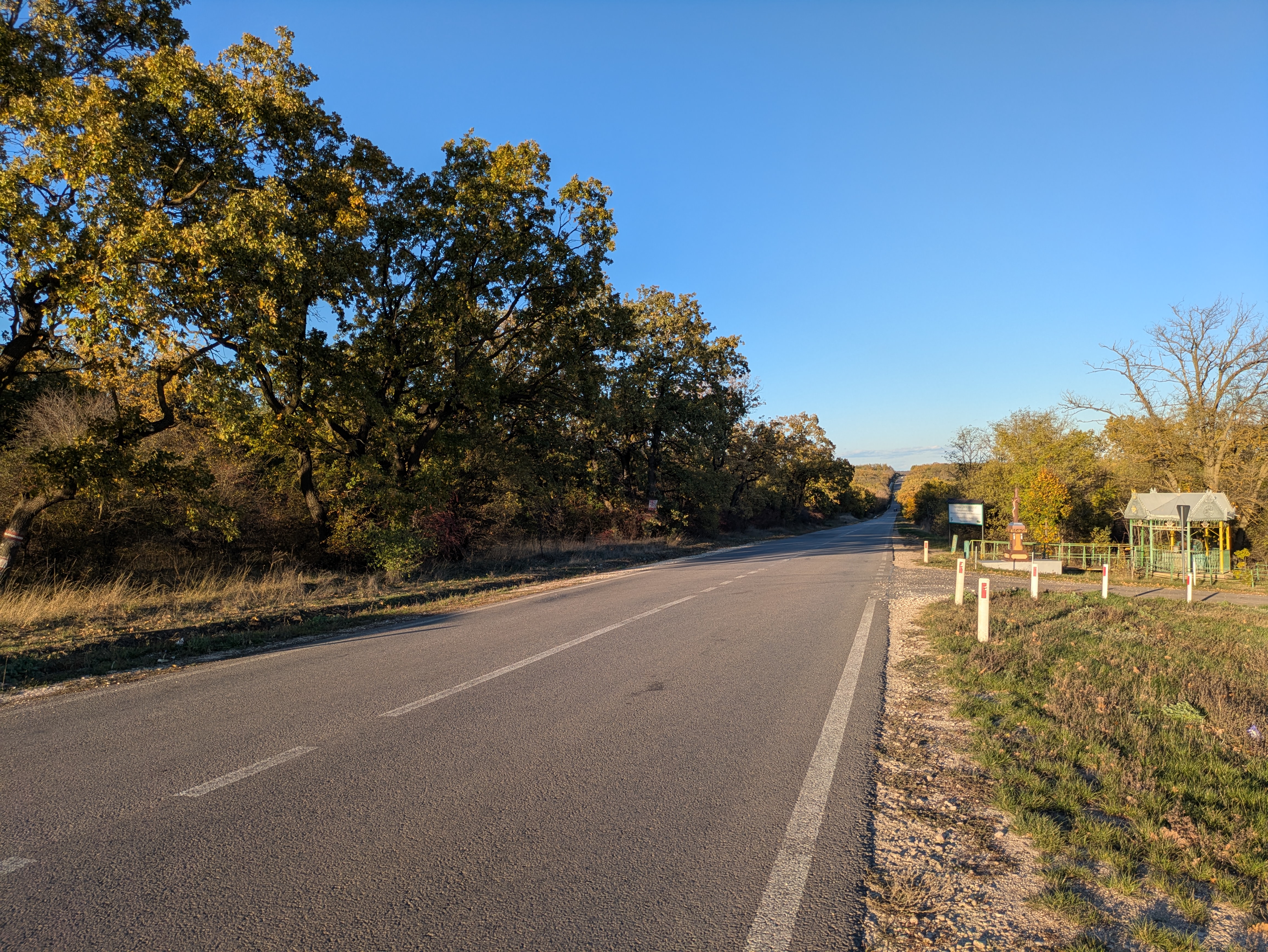 MD, Raionul Leova, Satul Băiuş, Drumul R47 prin pădure de stejar 