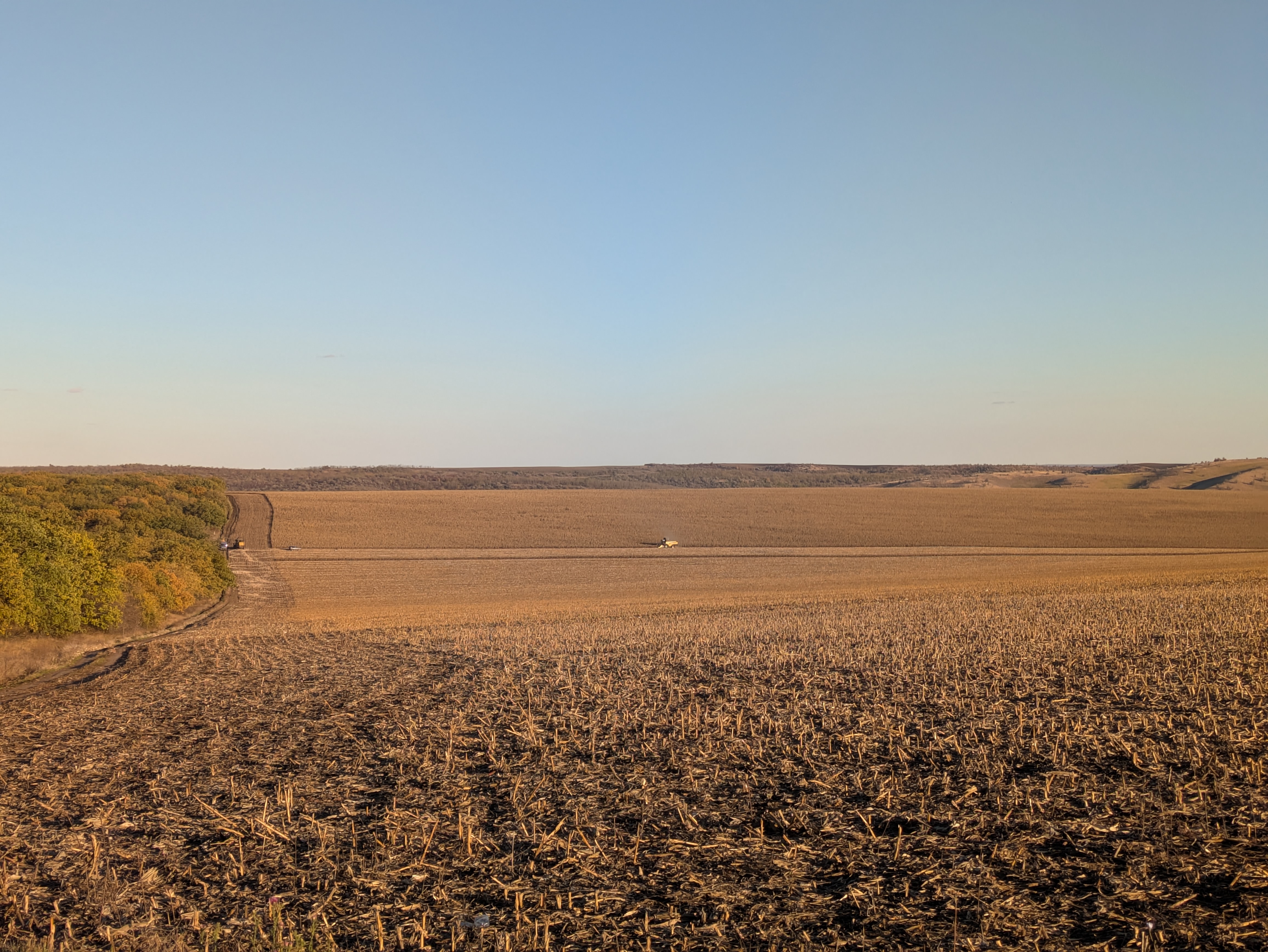 MD, Raionul Leova, Satul Băiuş, Recoltarea porumbului 