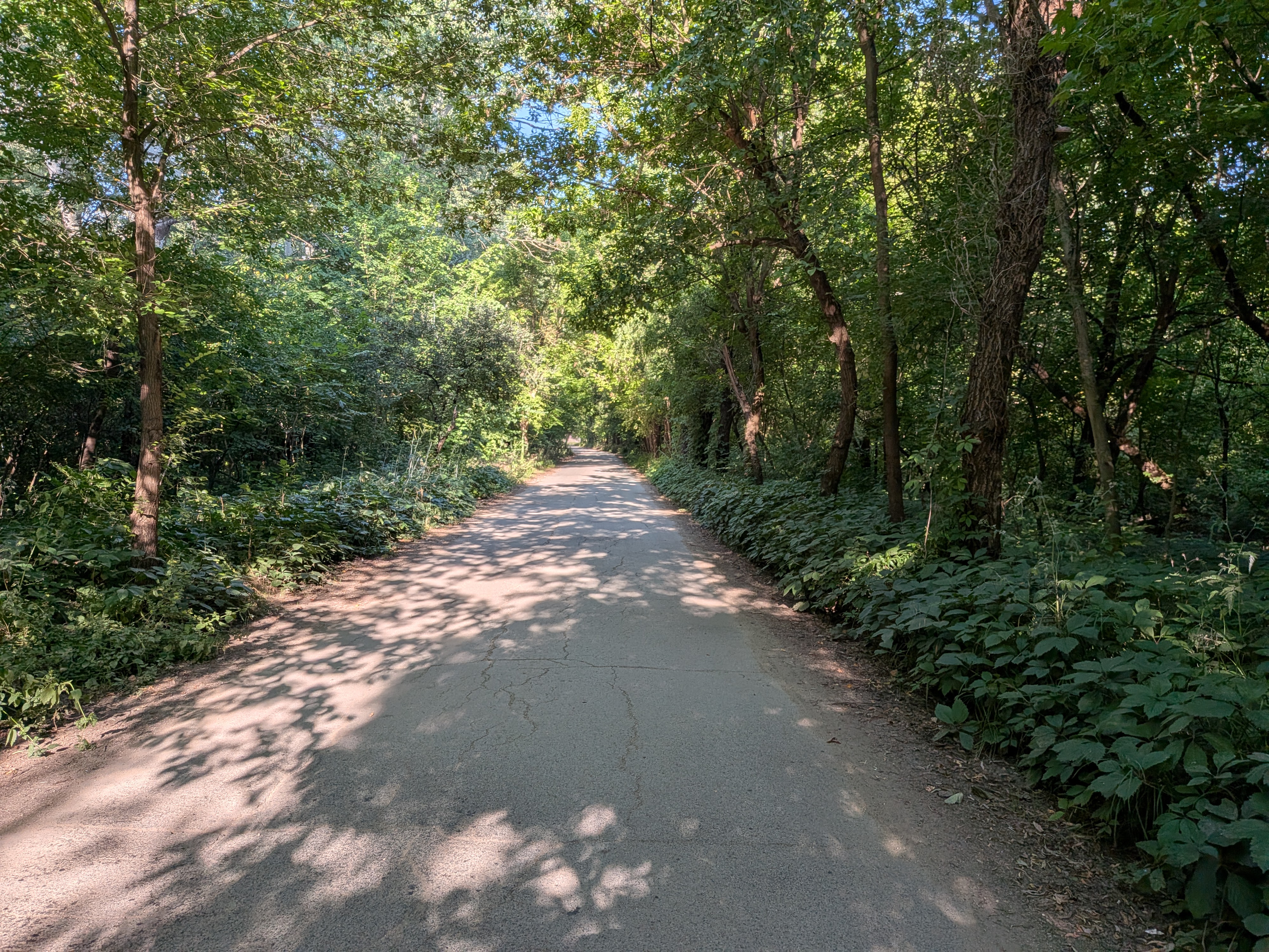 MD, Orasul Chişinău, Strada Ghidighici
