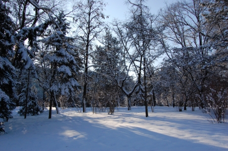MD, Orasul Chişinău, Iarna, Zăpadă, Copaci, Soare, Parcul Național Ștefan cel Mare