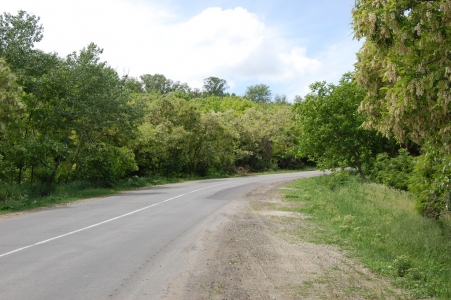 MD, District Cantemir, Satul Vilcele, Drumul National R34, Leova-Cantemir