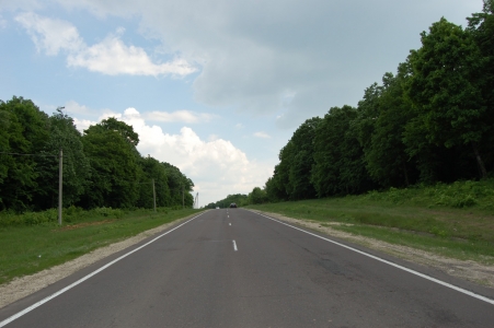 MD, Municipiul Chişinău, Satul Condriţa, Drumul Național M1 Chișinău-Leușeni, Drum prim Padure, Codrii 