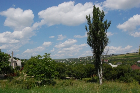MD, Municipiul Chişinău, Satul Dumbrava, Satucul Alfa-Agro, sectorul de vile, case de vacanta