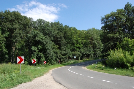 MD, Raionul Hînceşti, Satul Rusca, Drumul R33 prin padurea Hincesti