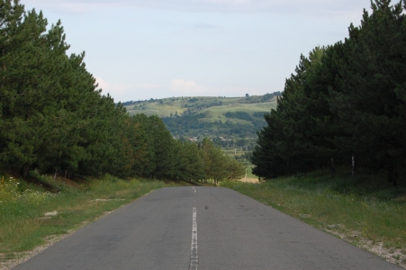 MD, Raionul Hînceşti, Satul Drăguşeni, Drumul Republican R44 Calarasi - Hincesti, La intrarea in satul Draguseni