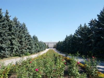 MD, Municipiul Chişinău, Satul Stăuceni, Colegiul National de Viticultura si Vinificatie, Drumul spre colegiu