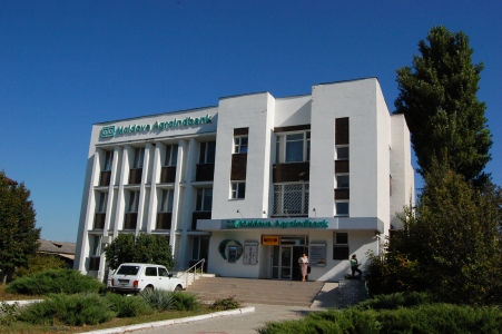MD, Orasul Anenii Noi, Oficiul Moldova Agroindbank