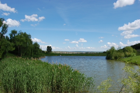 MD, District Ialoveni, Satul Suruceni, Lacul de la Mănăstirea Suruceni