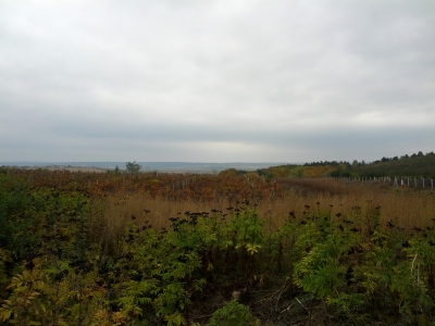 MD, Municipality Chisinau, Satul Stauceni, Drumul National M14 la km 269 vedere spre Intovarasirea pomicola Galbena Gutuie