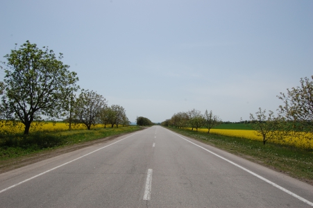 MD, Raionul Făleşti, Satul Mărăndeni, Drumul M14 spre Glinjeni