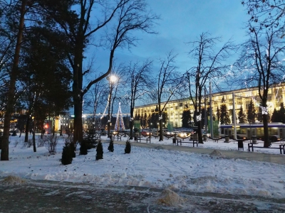 MD, Orasul Chisinau, Bradul de pe Piata Marii Adunari Nationale