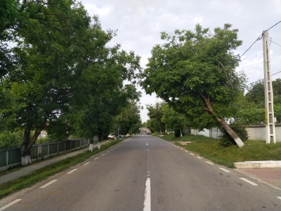 RO, Drum prin satul Dumești