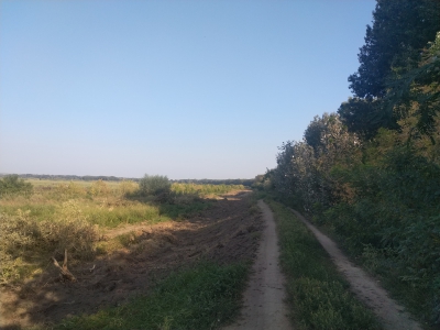 MD, Raionul Ştefan Vodă, Satul Palanca, Drum alăturat râului Nistru