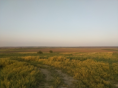 MD, Raionul Ştefan Vodă, Satul Palanca, Vedere spre frontiera cu Ucraina din satul Palanca
