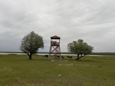 MD, Raionul Cahul, Satul Slobozia Mare, Lacul Beleu, Punct de Observare, Fotografiere