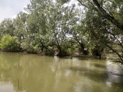 MD, District Cantemir, Satul Gotesti, Albia râului Prut