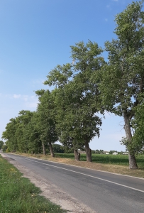 MD, Raionul Donduşeni, Satul Pivniceni, Intrarea în satul Pivniceni, raionul Dondușeni
