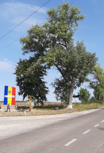 MD, Raionul Donduşeni, Satul Pivniceni, Intrarea spre satul Pivniceni, raionul Dondușeni, dintr-o altă latură a satului