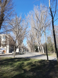 MD, Orasul Chişinău, Strada Braniștii 7, or Chișinău. Intrarea în parcul-pădure 
