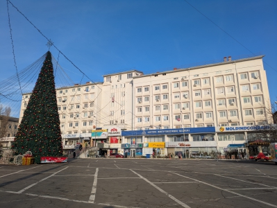 MD, Orasul Ialoveni, Bradul de Crăciun în Ialoveni 