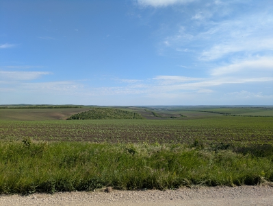 MD, Район Cimislia, Satul Marienfeld, Cumpuri agricole 