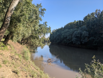 MD, Raionul Hînceşti, Satul Pogăneşti, Albia riului Prut