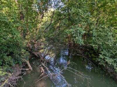 MD, Orasul Chişinău, Riul Bic in Parcul Sculeanca