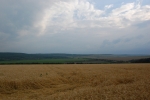 Lan de grîu, Vedere spre drumul național Chișinău-Soroca M2