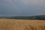 Lan de grîu, Codrii Moldovei, Curcubeu pe cer, Vine Ploaia