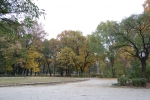 Parcul Alunelul, Vedere din centru