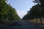 Drumul Tvardita-Ciadir-Lunga