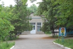 Tabara Dumbrava, Biblioteca