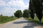 Drumul L464 Ulmu - Vasieni