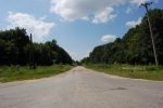 Drumul R44 Hincesti - Calarasi la intersectia cu M1, Codrii