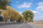 Drumul National M2 Chisinau-Soroca, Aleia de Plopi