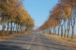 Drumul L340 Mascauti - Ustia