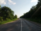 Drumul R34 Hincesti - Leova prin padure