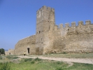 Cetatea Alba - Turn