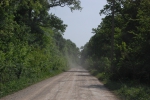 Drum prin padure spre Rezervatia Naturala Padurea Domneasca