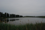 Lac