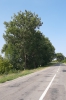 La intrarea spre satul Corbu, raionul Dondușeni