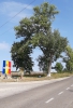 Intrarea spre satul Pivniceni, raionul Dondușeni, dintr-o altă latură a satului