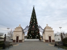 Brad de Crăciun la Tiraspol 