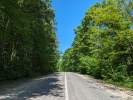 Pădurea pe drumul R24