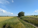 Drum agricol
