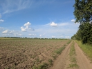 Aleie pe camp agricol