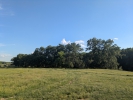Pajiste in Rezervatia Naturla Poganesti