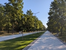 Pietonala in Parcul Sculeanca