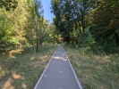 Carare in parc